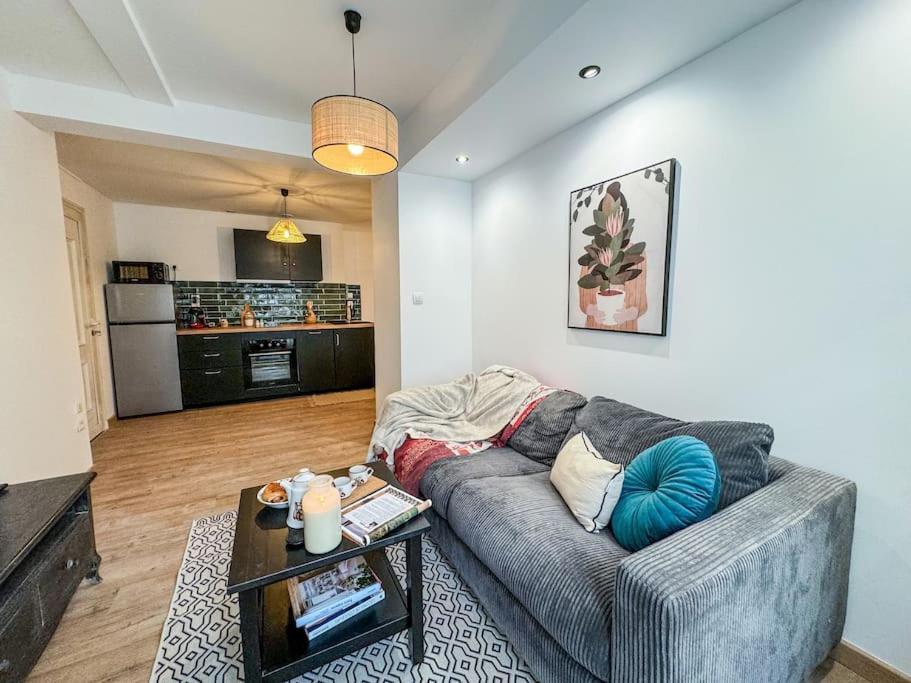 Elegance Au Coeur De Tarbes Apartman Kültér fotó